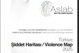 Türkiye Şiddet Haritası Raporu Yayında